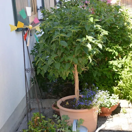 호텔 Zahler Rofingen