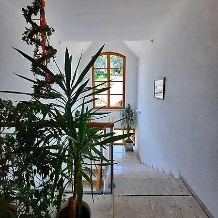 Zahler Hotel Rofingen
