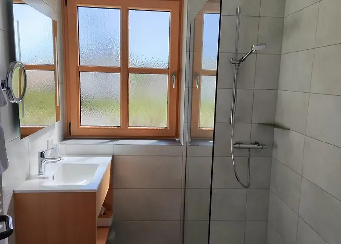 Zahler Rofingen
