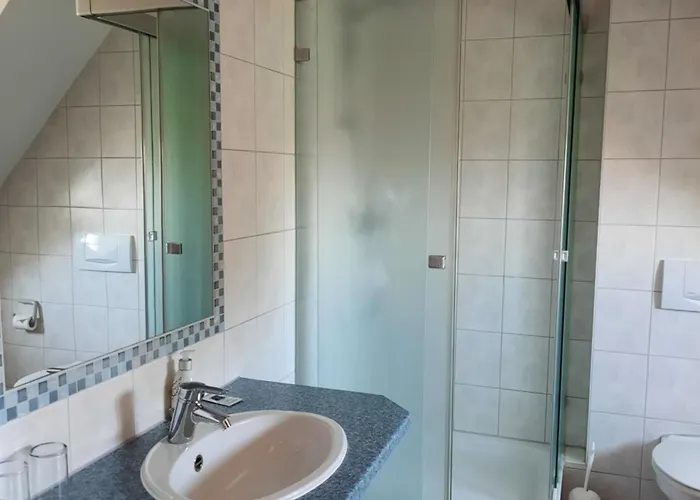 Zahler Rofingen